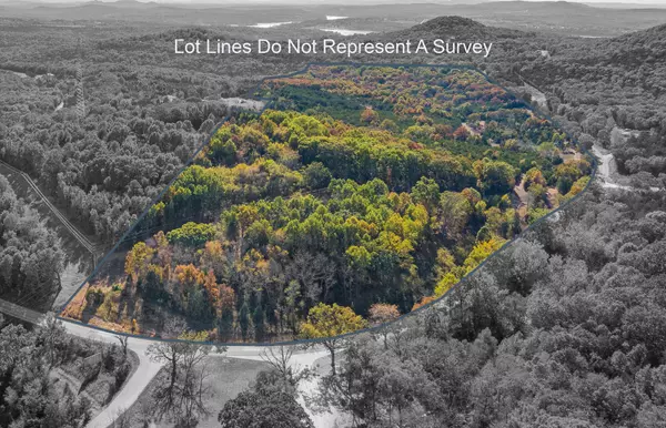 Lampe, MO 65681,97 Backwood RD