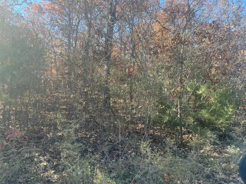 000 E 348th RD, Humansville, MO 65674