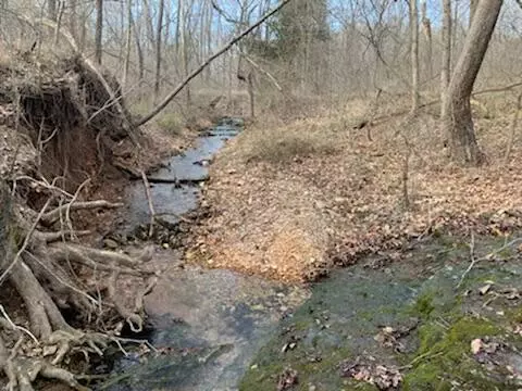 Goodman, MO 64843,1311 Sutter Hollow Road