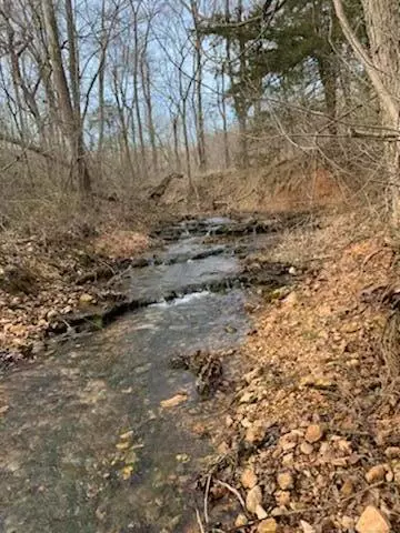 Goodman, MO 64843,1311 Sutter Hollow Road