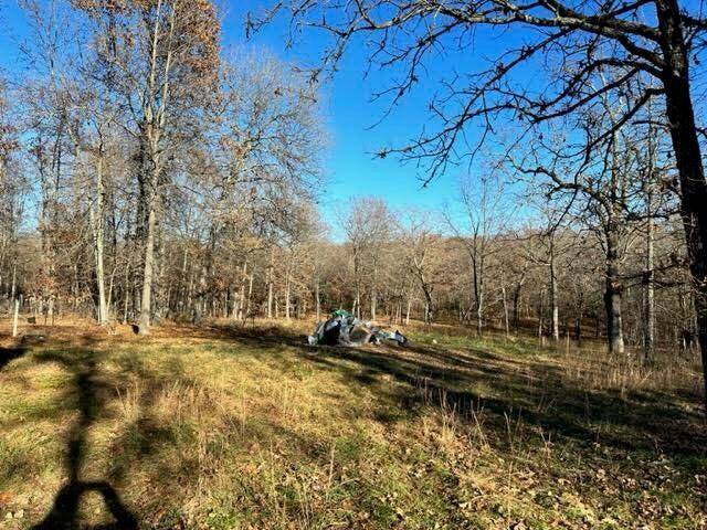 Alton, MO 65606,468 County Road 103