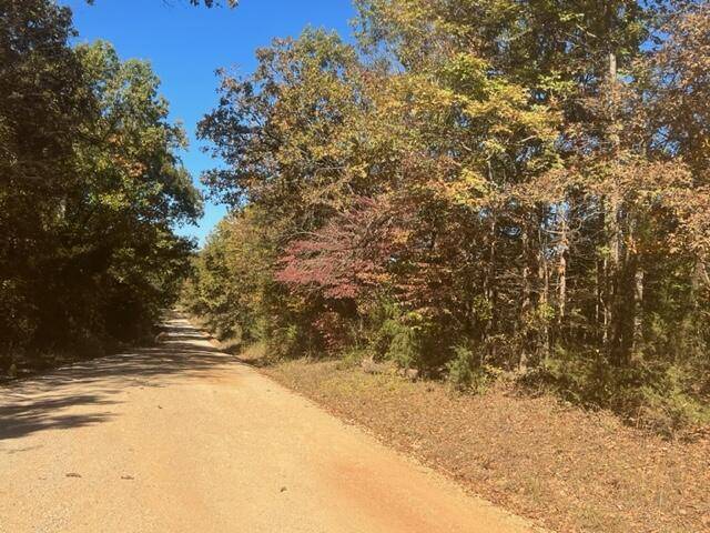 Thayer, MO 65791,000 Oregon County Road 264