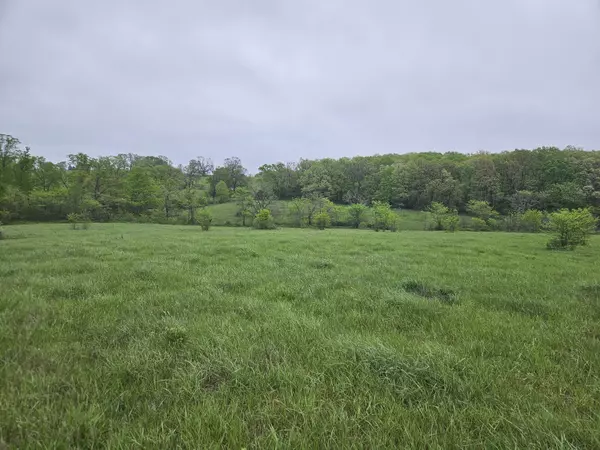 Mansfield, MO 65704,000 Old Springfield Road