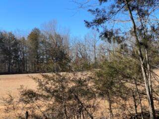 000 Eagle Ridge Road #Lot 22, Protem, MO 65733