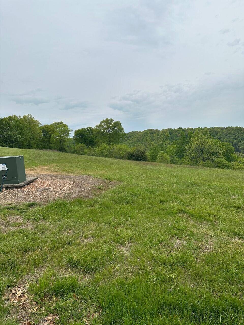 Reeds Spring, MO 65737,Lot 17 Newbury RD