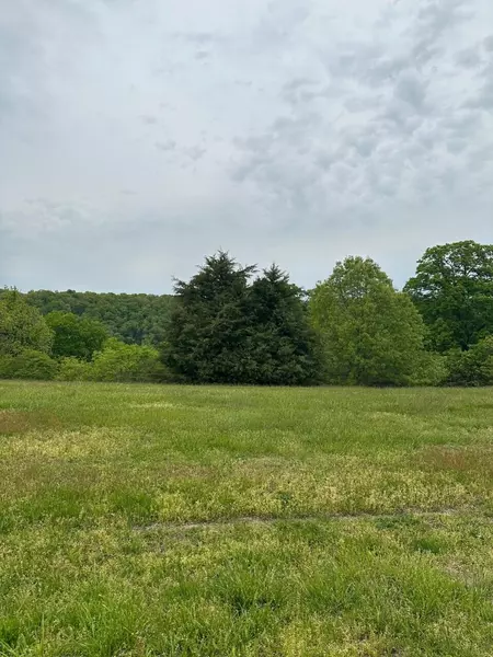 Lot 17 Newbury RD, Reeds Spring, MO 65737