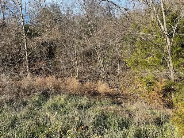 Reeds Spring, MO 65737,Lot 206 Black Forest LN