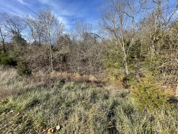 Reeds Spring, MO 65737,Lot 206 Black Forest LN