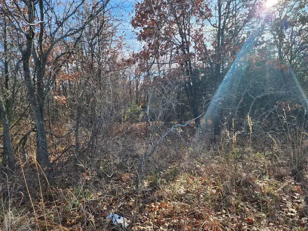 Bucyrus, MO 65444,000 Highway 17