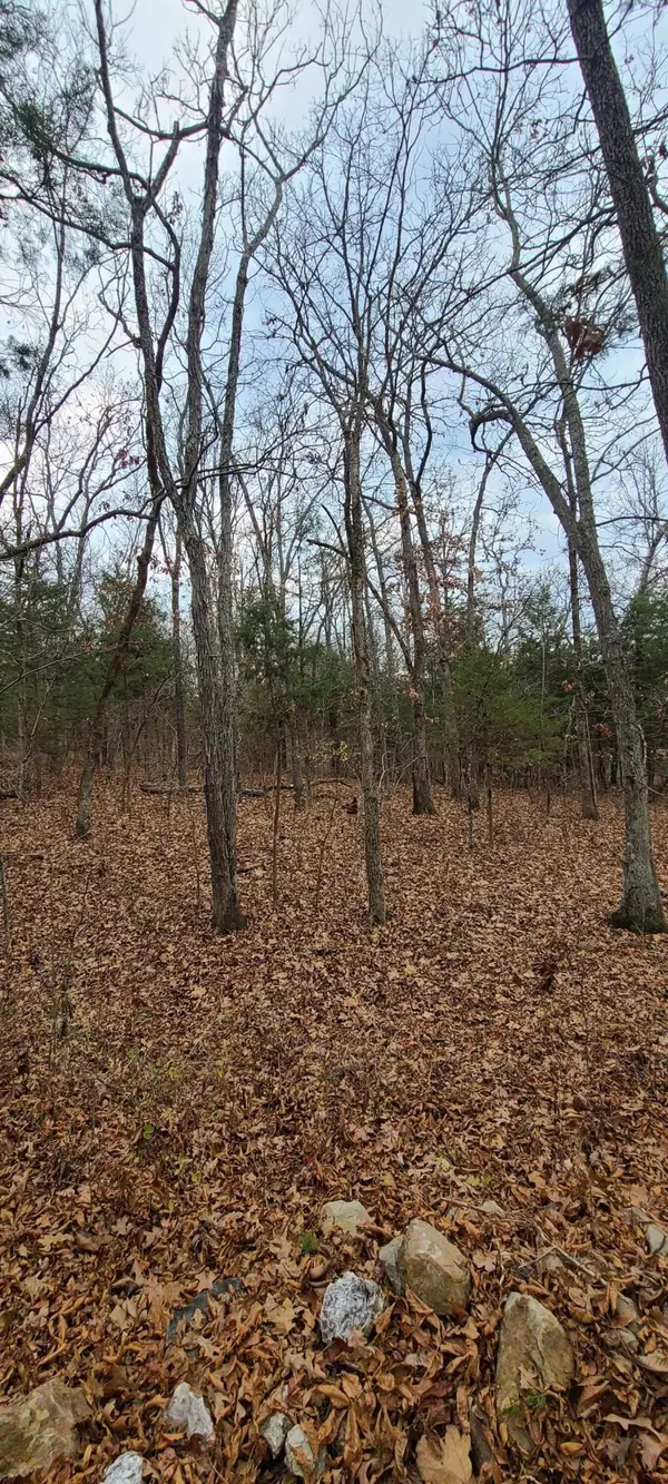 Hermitage, MO 65668,00 Kenwood Hills RD