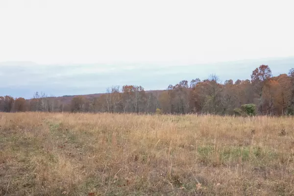 Hardy, AR 72542,000 Banks Road