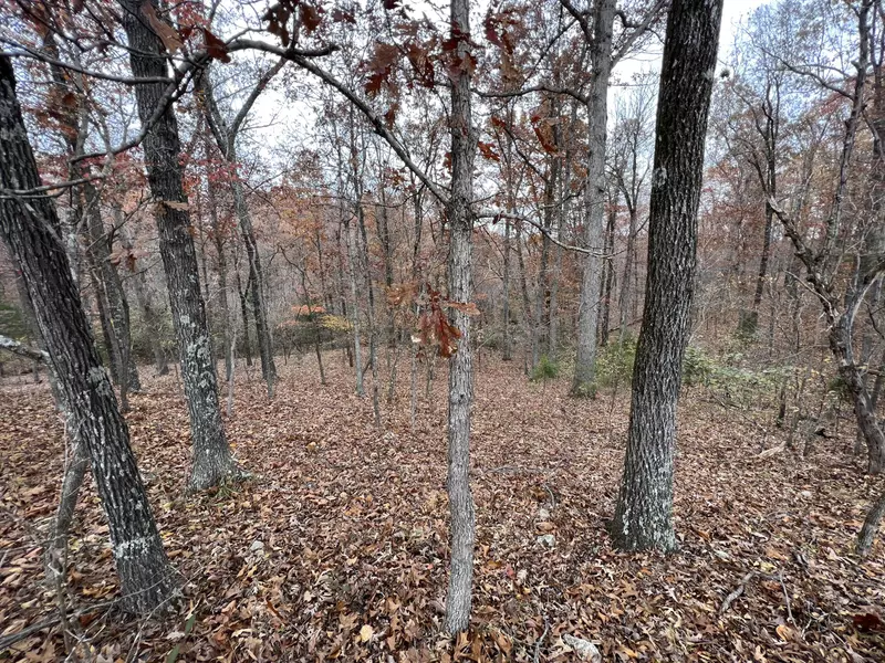 0 Banks Road, Hardy, AR 72542