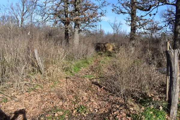 Pierce City, MO 65723,000 Lawrence 1022