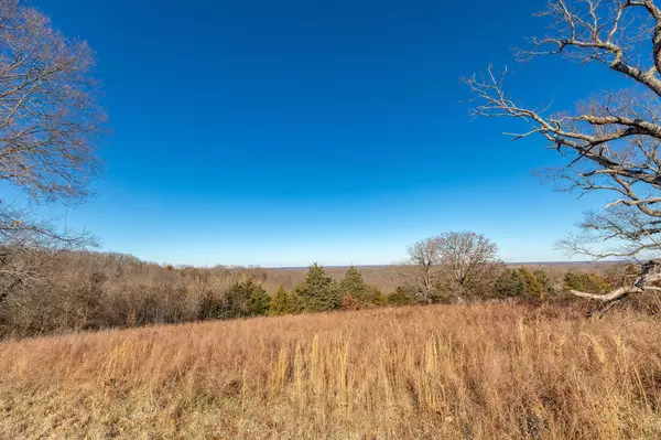 Branson, MO 65616,Lot 7 State Hwy 248