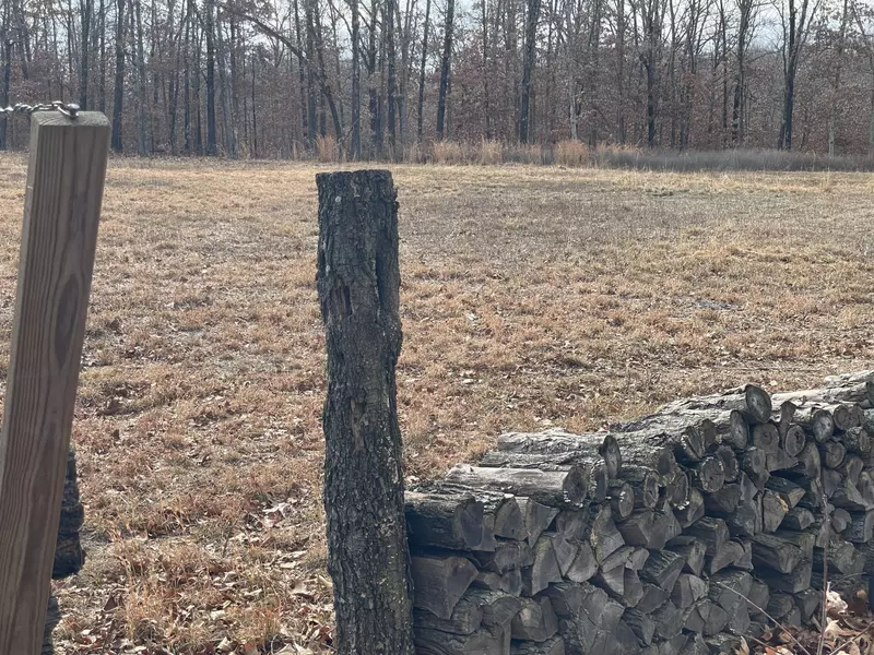 000 Mt Carmel Rd, Stella, MO 64867