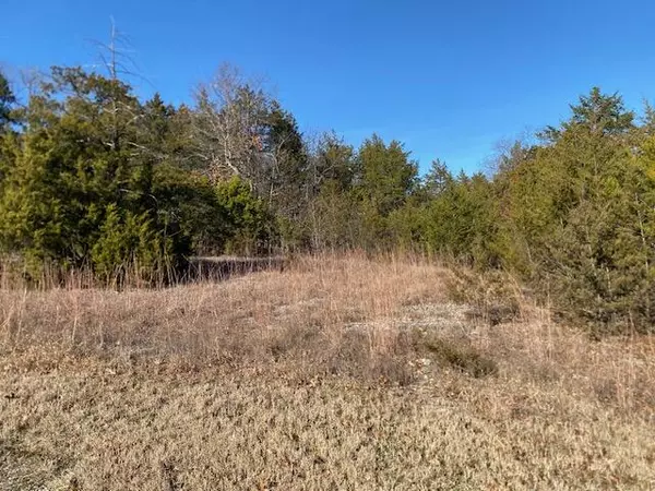 Hollister, MO 65672,000 Pine Woods Village DR #Lot 15