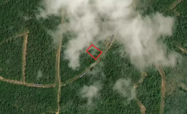 315-2 Ash Flat DR, Horseshoe Bend, AR 72512