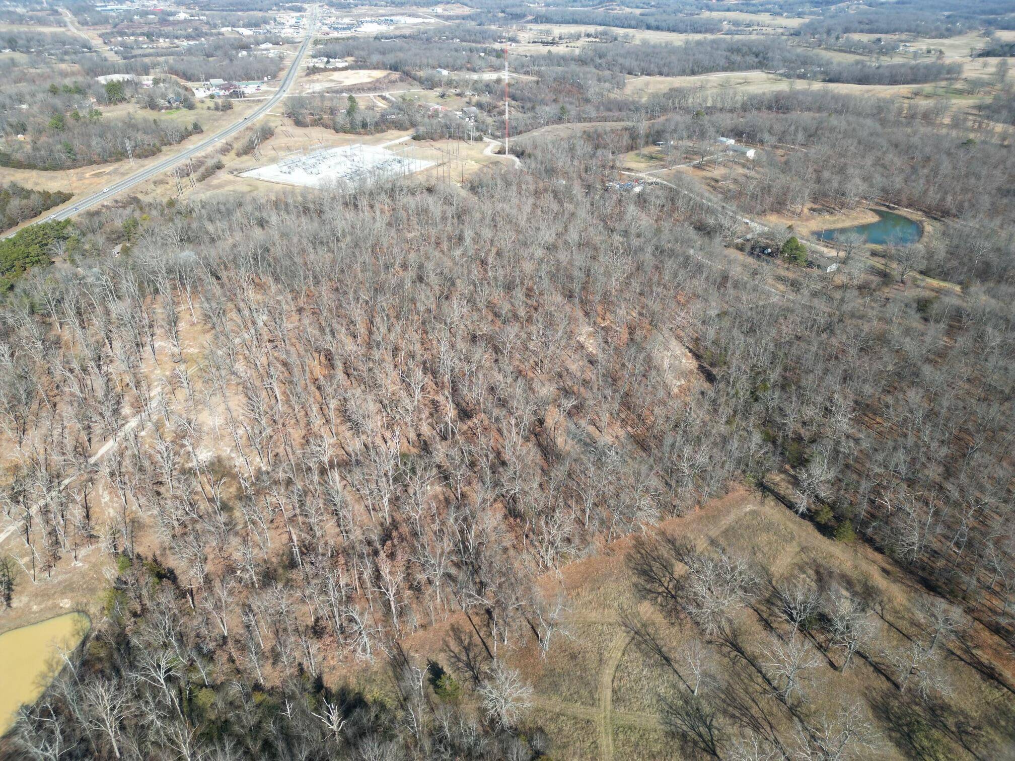 West Plains, MO 65775,Tbd County Road 8190 #Tract 2  3 Acres