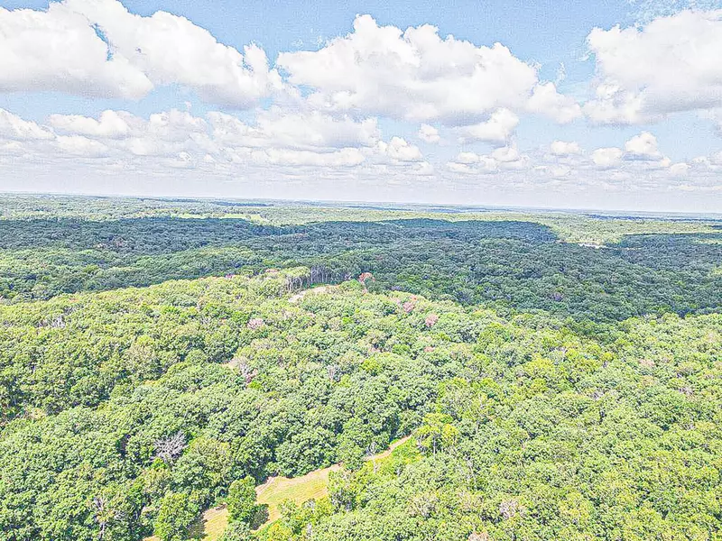 000 County Road 2yy, Cross Timbers, MO 65634