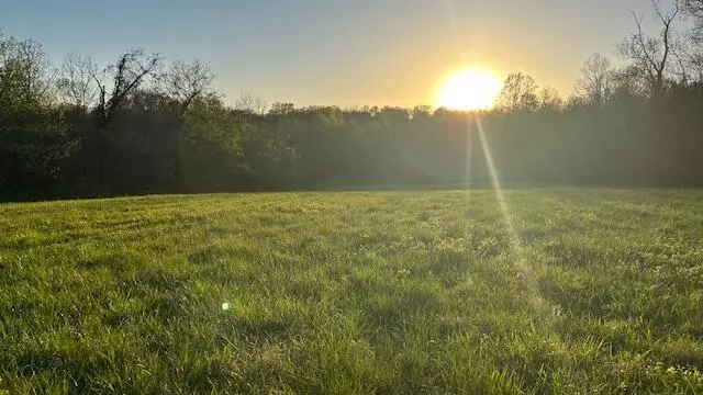 Ava, MO 65608,0 Tbd E 76 Cr 225