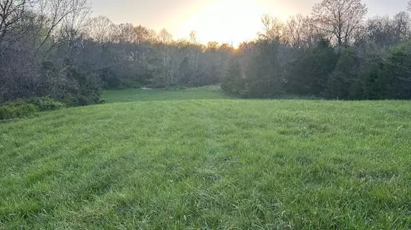 Ava, MO 65608,0 Tbd E 76 Cr 225