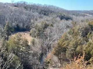 Branson, MO 65616,000000 Ozark Scenic