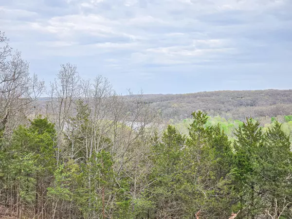 Pittsburg, MO 65724,Tract 10 Easy Street