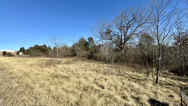 295 Wellington Parkway Lot 3b Pkwy,  Kirbyville,  MO 65679