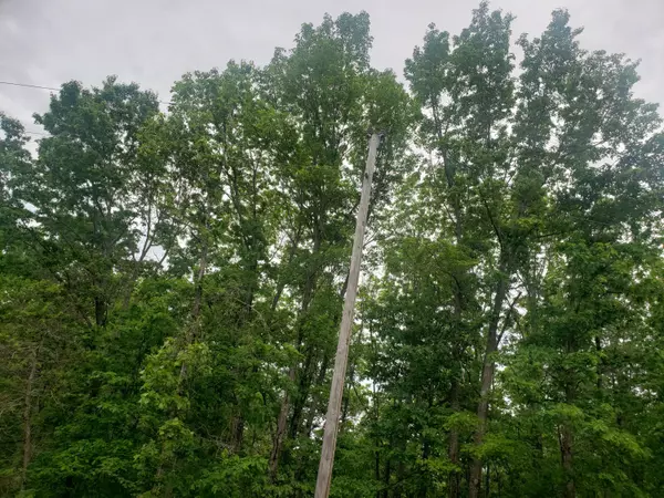 Raymondville, MO 65555,000 Tbd Golden TRL