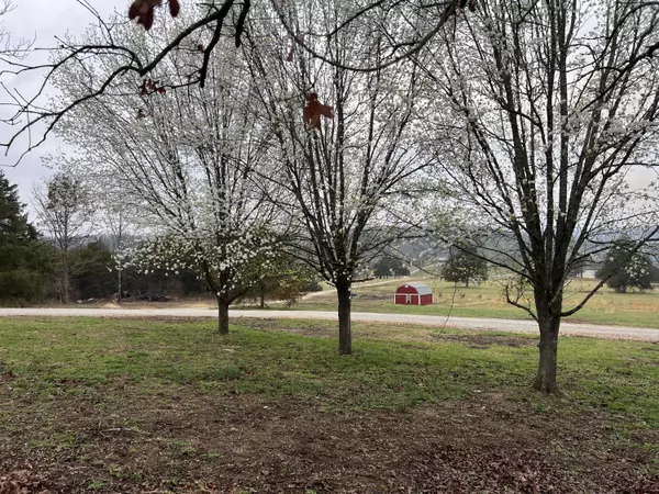 Taneyville, MO 65759,2633 Hulls Ford RD