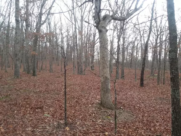 Willow Springs, MO 65793,000 County Road 1290