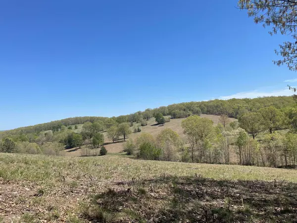Ava, MO 65608,Route 5 County Road 321