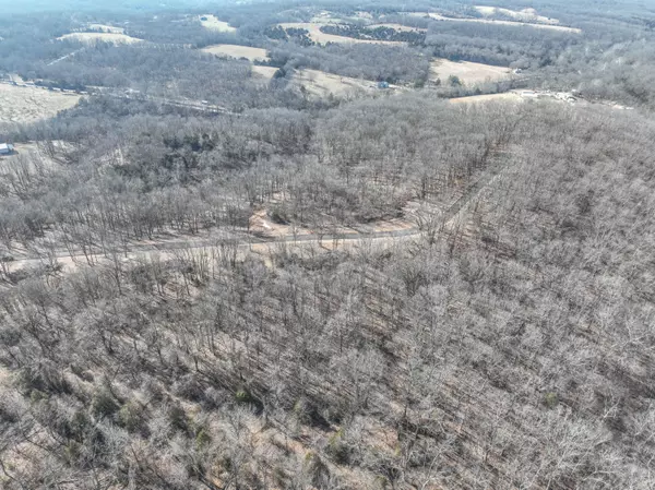 Highlandville, MO 65669,000 Raspberry RD #Lot 48