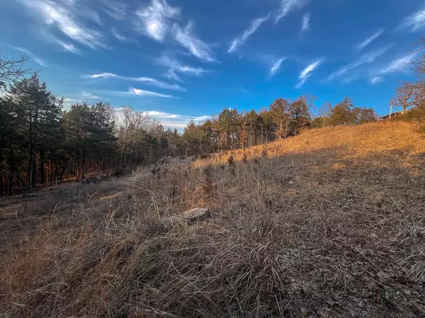 Theodosia, MO 65761,000 Lakebreeze CIR