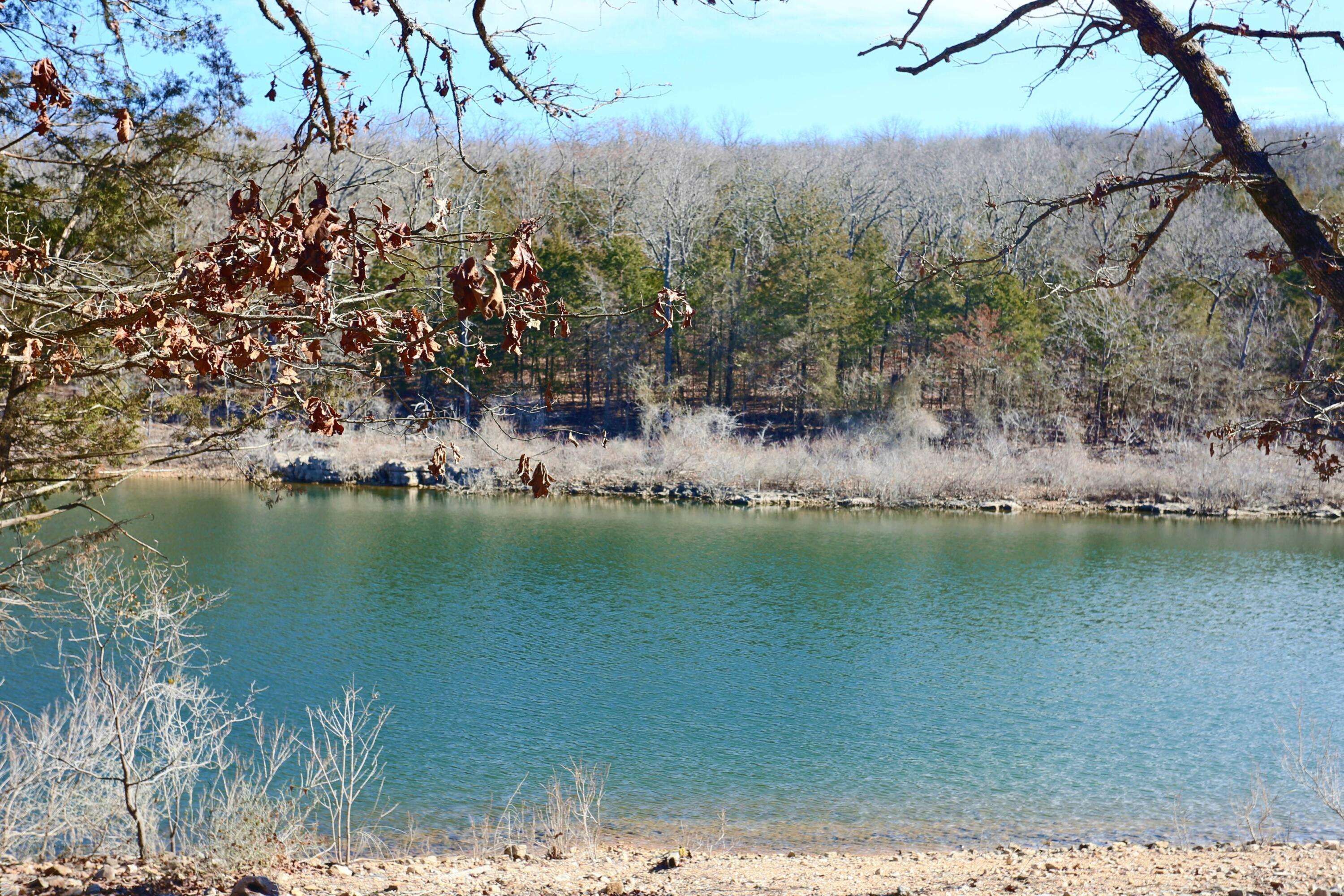 Lampe, MO 65681,Lot 3 & 4 Bread Tray Mountain RD