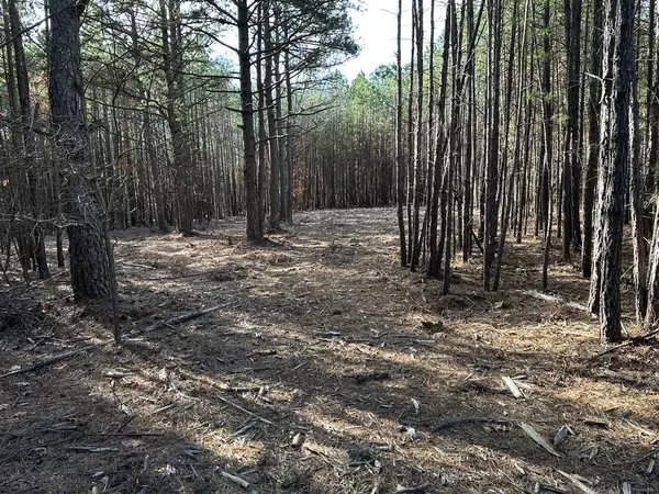 Raymondville, MO 65555,19875 Golden Trails