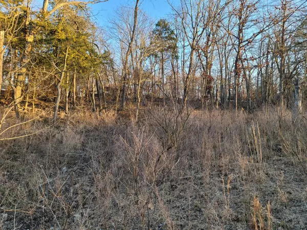 Wheatland, MO 65779,21031 Possum Trot TRL