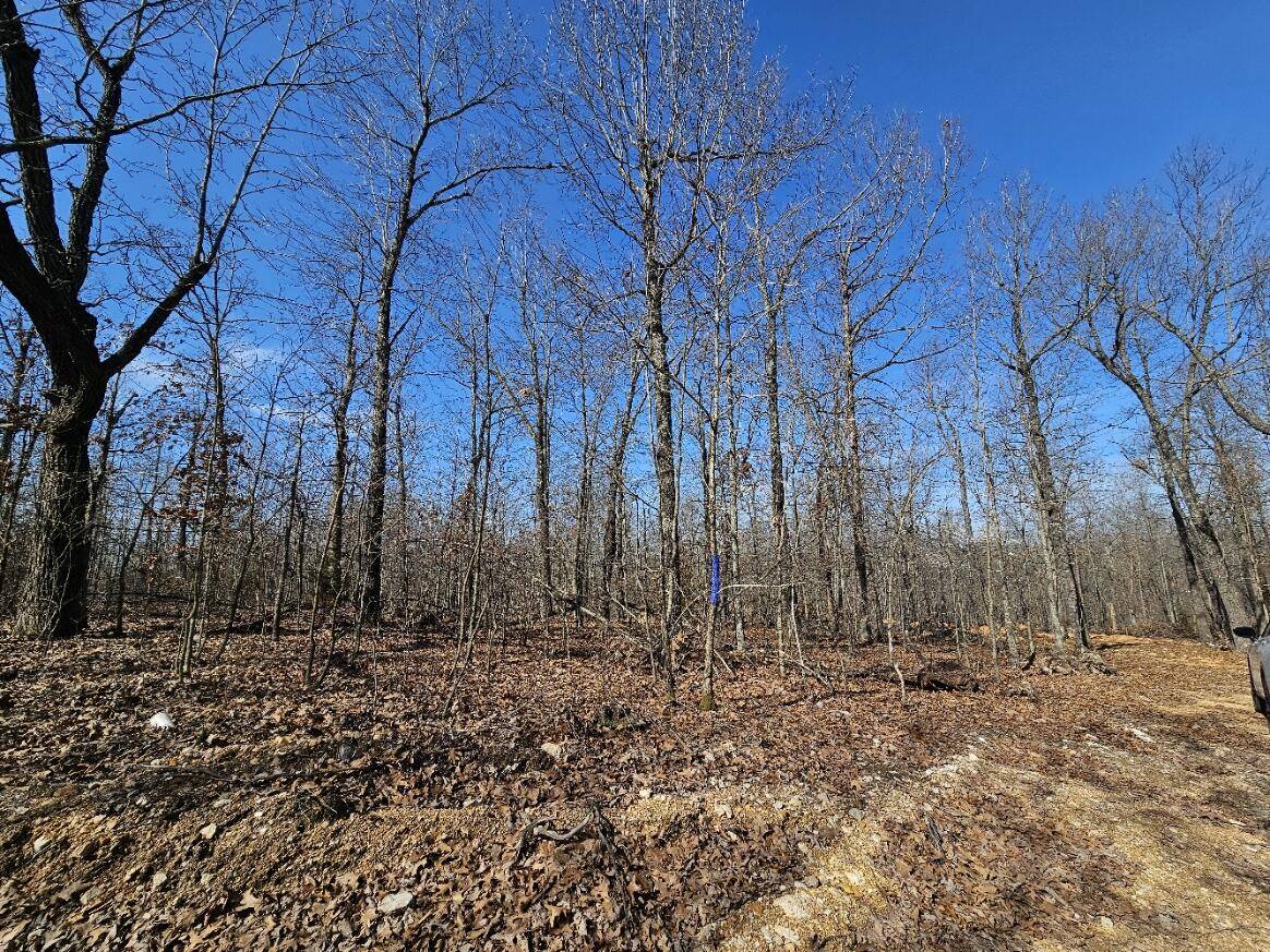 Thayer, MO 65791,000 County Road 255