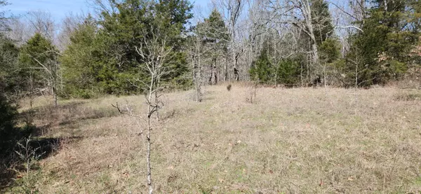 Fair Play, MO 65649,0000 E H HWY