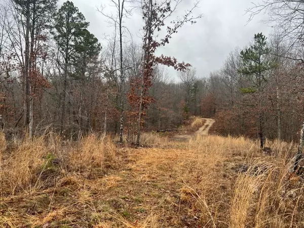 Raymondville, MO 65555,000 Golden Trail