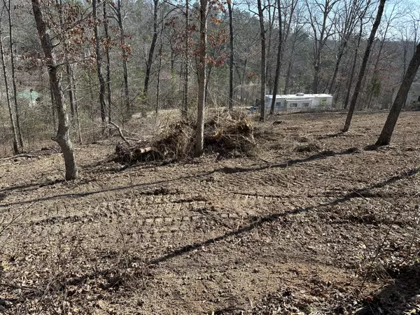 Van Buren, MO 63965,000 Debann Drive Lot 56