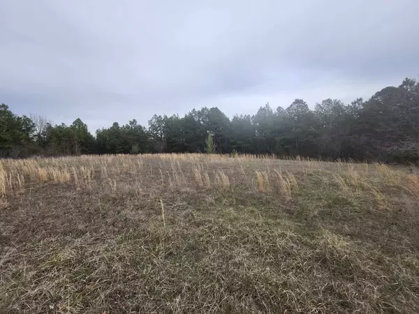 Raymondville, MO 65555,Tbd Splitlimb Road