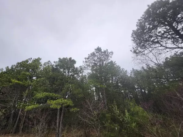 Raymondville, MO 65555,Tbd Splitlimb Road