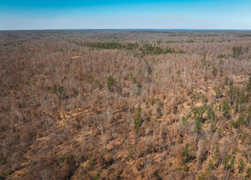 000 Highway Kk  Tract L, Hartshorn, MO 65479