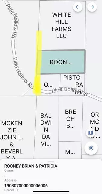 Protem, MO 65733,Tbd Pine Hollow RD