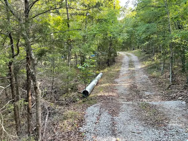 Protem, MO 65733,Tbd Pine Hollow RD