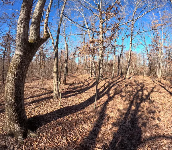 Lebanon, MO 65536,Tract U Greatview LN