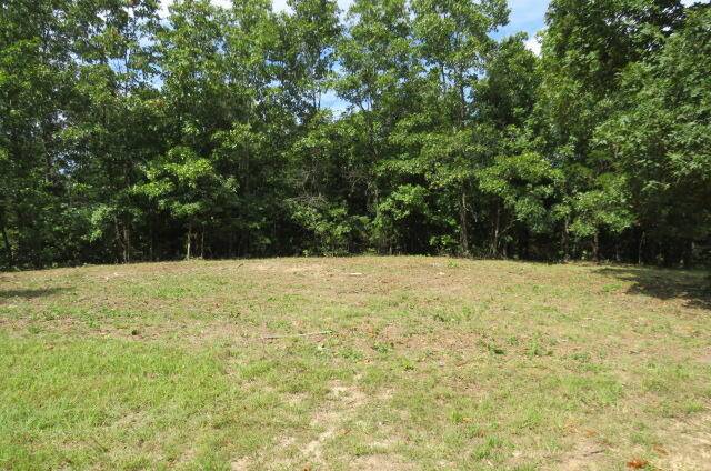 Seymour, MO 65746,000 Tbd Old Jericho RD