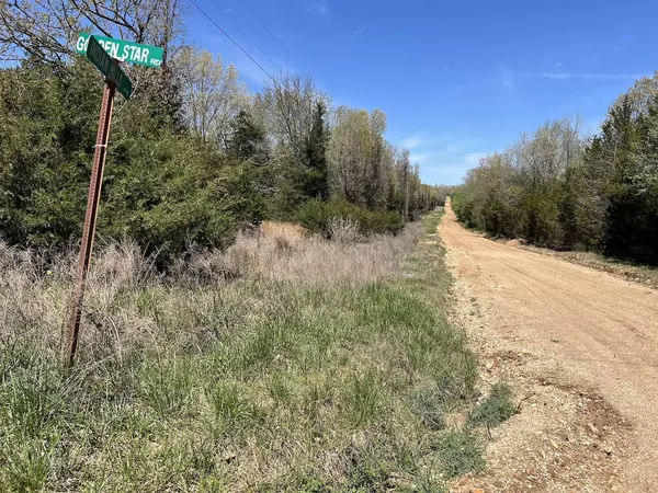 Ash Flat, AR 72513,000 Golden Star ST