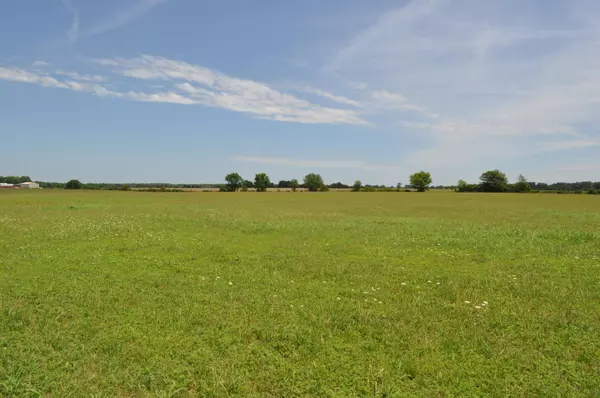 Rogersville, MO 65742,Tract A Delzell Woods RD